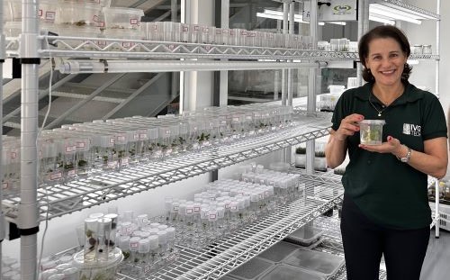 BIOTECNOLOGIA | IVGTech é selecionada para o programa de Aceleração Restoration ClimAccelerator